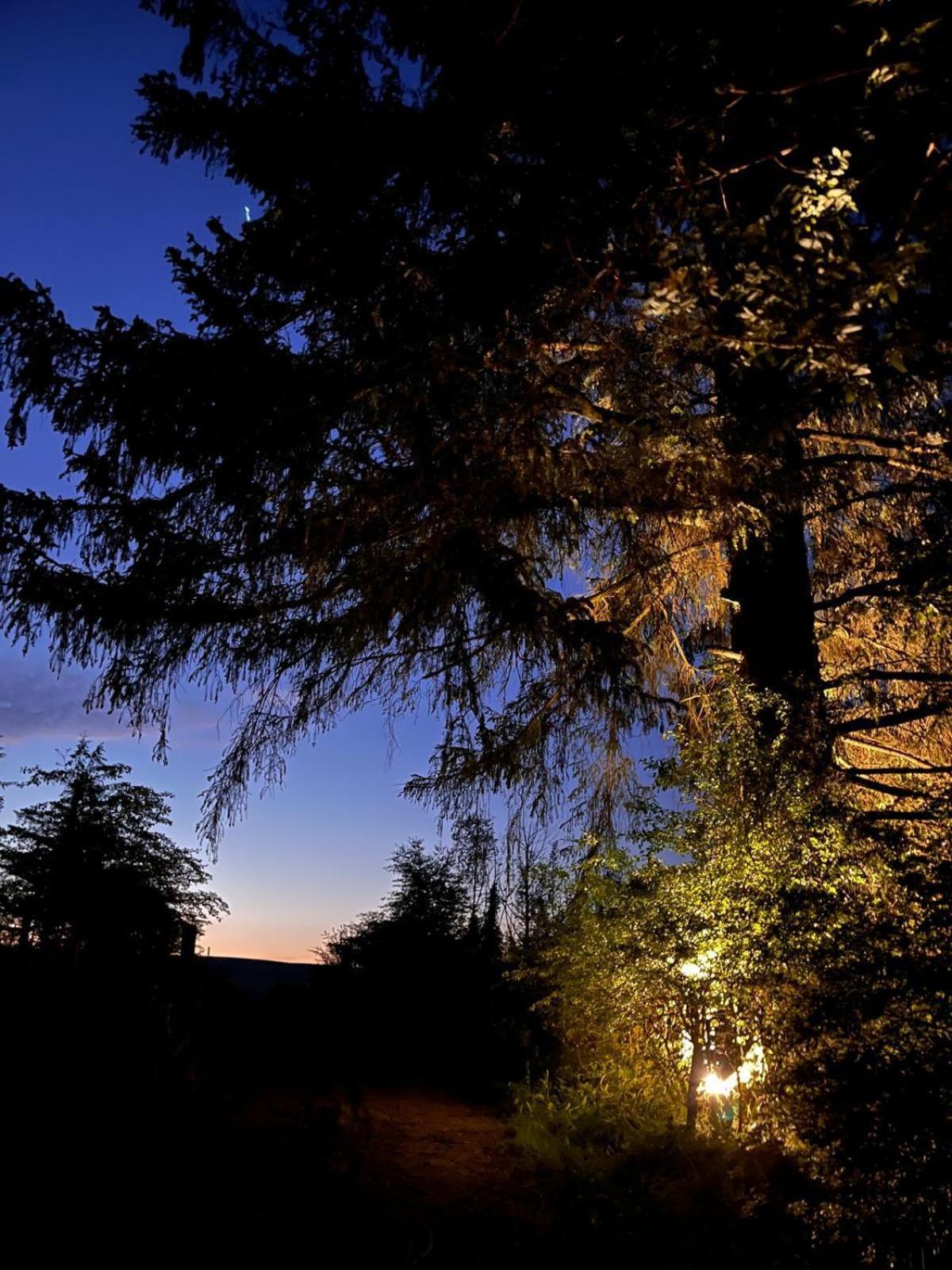 River Retreat Hideaway Sauna Leitrim *